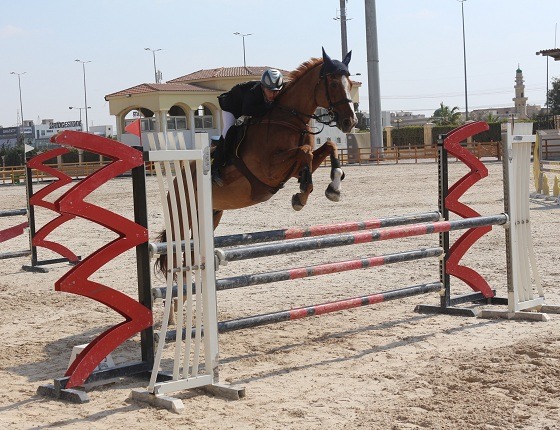 صورة فرسان الهيئات الرياضية أثنوا على التنظيم الرائع للحلقة السابعة من بطولة الجمهورية للفروسبة