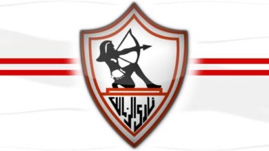 صورة حقيقة مفاوضات الزمالك مع الأخطبوط