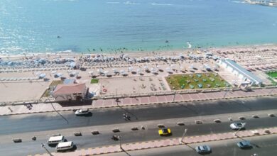 صورة الإسكندرية تواصل التألق في موسم صيفي استثنائي.. إشادات متواصلة بجهود الإدارة المركزية للسياحة والشواطئ