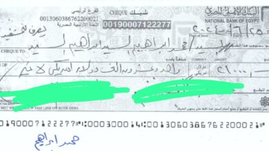 صورة بالمستندات..  12 مليون جنيه و21 ألف دولار وراتب شهري 55 ألف جنيه حصيلة دعم مصر لكيشو